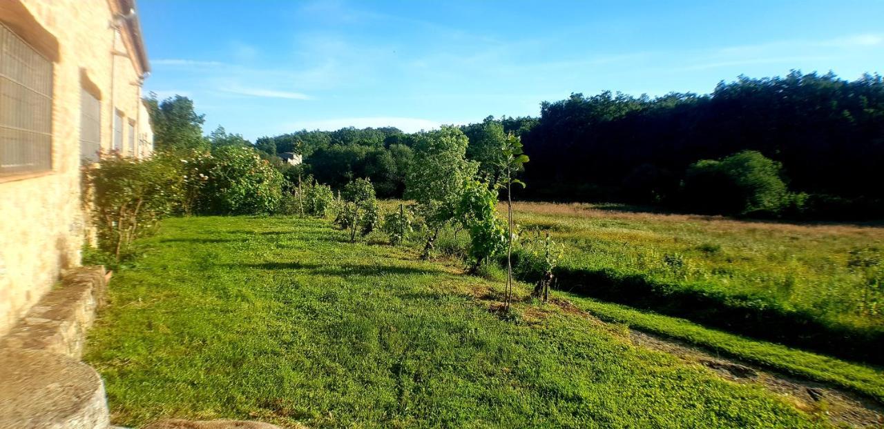 Casa Rural Colmenarejo Cuacos De Yuste Zewnętrze zdjęcie