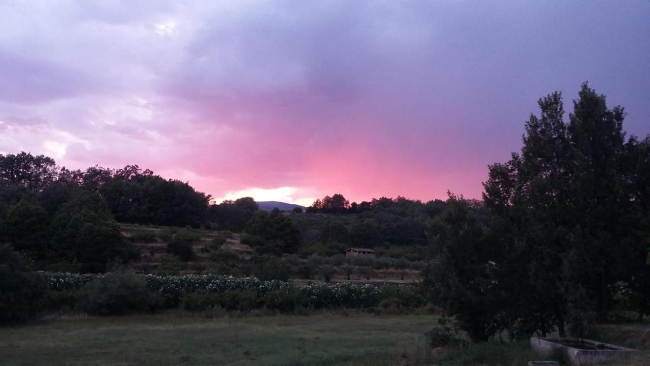 Casa Rural Colmenarejo Cuacos De Yuste Zewnętrze zdjęcie